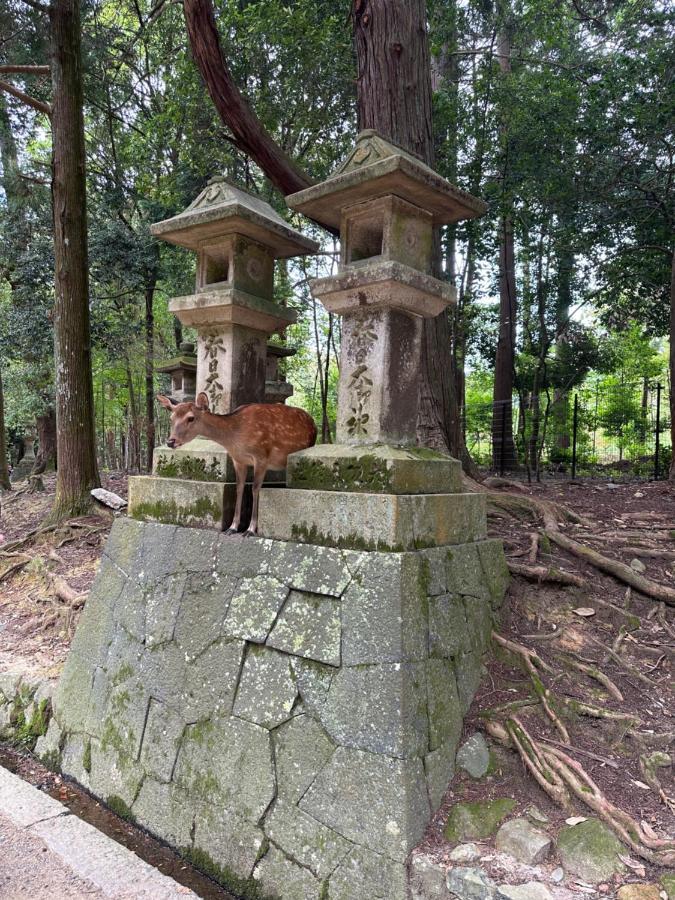 Kousen Kazeya Group Ryokan 4*
